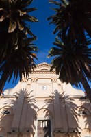 Immaculate Conception Church Fine Art Print