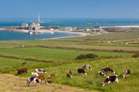 Goury Cap de la Hague Lighthouse Fine Art Print