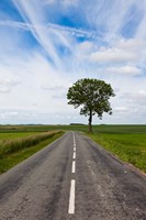 Road through the countryside, Beaumont, Somme, Picardy, France Fine Art Print