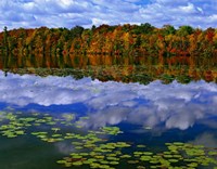 Park Haven Lake in Autumn Fine Art Print