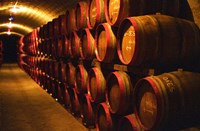 Barrels of Tokaj Wine in Disznoko Cellars, Hungary Fine Art Print