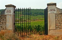 Iron Gate to the Vineyard Clos Pitois Fine Art Print