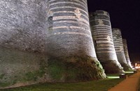 Chateau d'Angers Castle at Night Fine Art Print