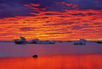 Hudson Bay Floating Ice Against Sunset Fine Art Print