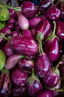 Purple Eggplant, Seafront Market Fine Art Print