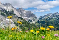 Karwendel Mountain Range Fine Art Print
