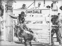 Littlest Cowboys: Eight Seconds Fine Art Print