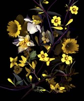 Yellow Fine Art Print