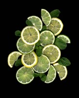 Lemons, Limes & Mint Fine Art Print