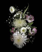 Groc. Store - Winter White Fine Art Print