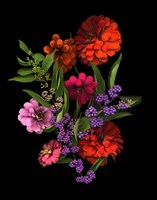 Zinnia And Berries Fine Art Print