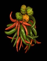 Hot Peppers 3 Fine Art Print