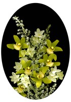 Orchids & Paperwhites Fine Art Print