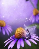 A Wise Fairy Fine Art Print
