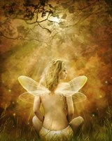 Evening Sun Fine Art Print