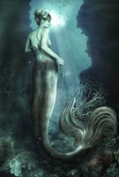 Below The Surface Fine Art Print