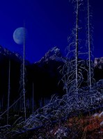 Teton J Fine Art Print