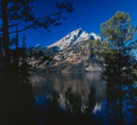 Teton E Fine Art Print