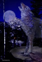 Blue Moon Fine Art Print