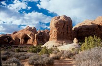 Arches  H Fine Art Print