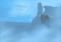 Still Of The Night Fine Art Print