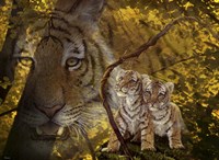 Parental Guidance Fine Art Print