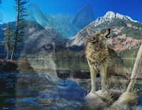 Dusk Till Dawn 1 Fine Art Print