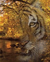 Fade To Night Fine Art Print