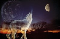 Spirits Fine Art Print