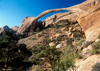 Arches N Fine Art Print