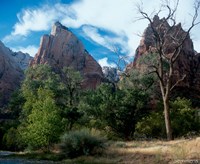 Zion B Fine Art Print