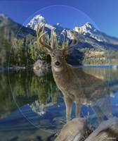 Piont Of View 1 Fine Art Print