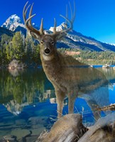 Point Of View 2 Fine Art Print