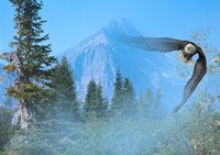 Silent Approach Fine Art Print