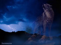 Distant Thunder Fine Art Print