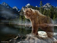 Cold Water Morning Fine Art Print