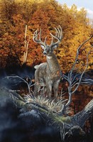 Minnesota Autumn Fine Art Print