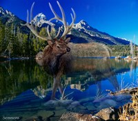 On A Clear Day Fine Art Print