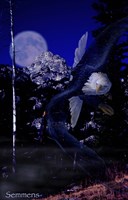 Moonlight Prey Fine Art Print