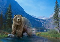 Walk On The Wild Side Fine Art Print