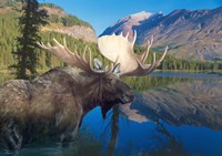 Morning Time Fine Art Print