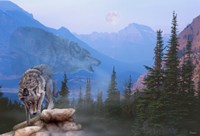 Night Calls Fine Art Print