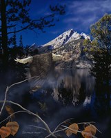 Autumn Whisper Fine Art Print