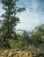 Zion F Fine Art Print