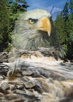 From Above Fine Art Print