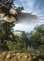 Above The Rim Fine Art Print