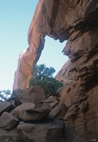 Arches O Fine Art Print