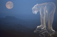 Tiger And Full Moon Fine Art Print