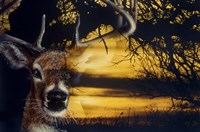 Staying Safe Fine Art Print