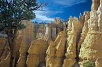 Bryce Canyon F Fine Art Print